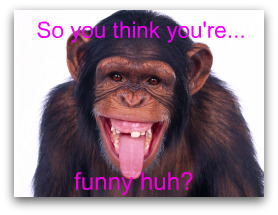 Picture of monkey with text